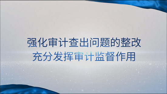[專家談審計法]賈煥銀：強(qiáng)化審計查出問題的整改 充分發(fā)揮審計監(jiān)督作用