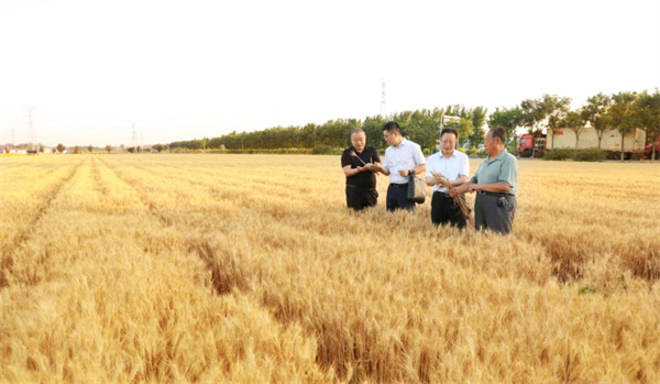 審計(jì)人員現(xiàn)場(chǎng)查看審計(jì)項(xiàng)目整改情況